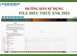 Biểu Thuế Xuất Nhập Khẩu 2024 Online