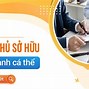 Cơ Sở Kinh Doanh Cá Thể