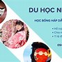 Điều Kiện Để Được Học Bổng Neu Là Gì Ạ Tiếng Anh