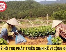 Hỗ Trợ Sinh Kế Là Gì