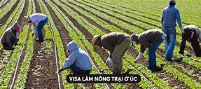 Làm Nông Ở Úc