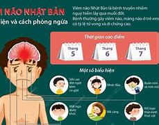 Viêm Não Nhật Bản Của Thái